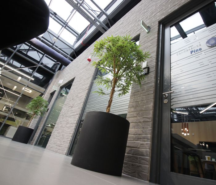 office shading